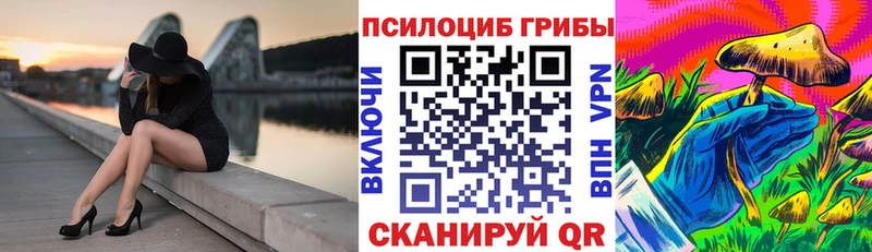 Галлюциногенные грибы Cubensis  Починок 